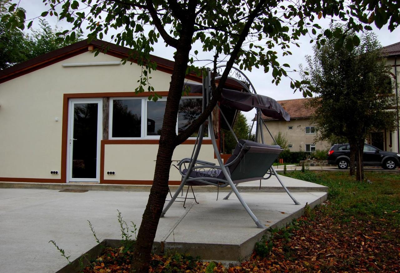 Vila Phoenix Călimăneşti Εξωτερικό φωτογραφία