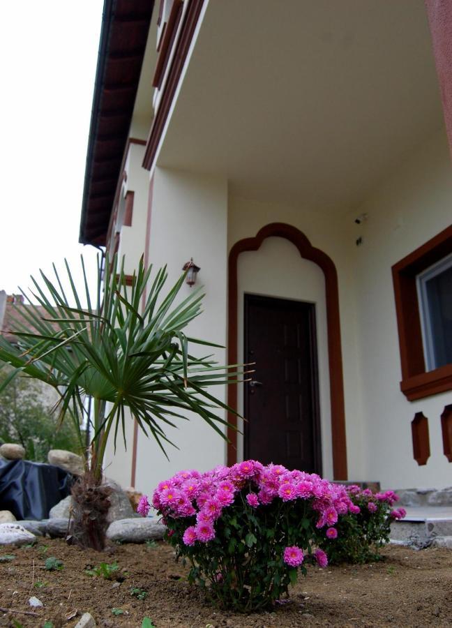 Vila Phoenix Călimăneşti Εξωτερικό φωτογραφία