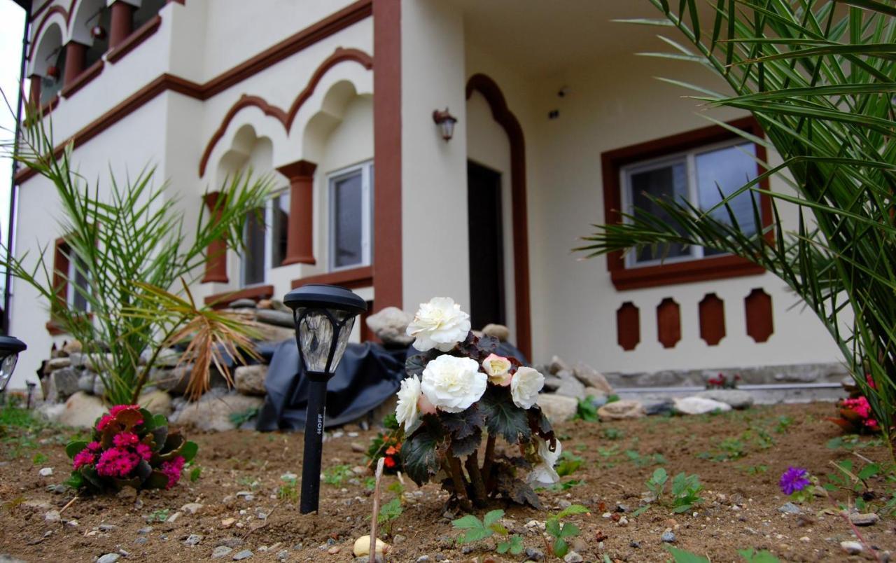 Vila Phoenix Călimăneşti Εξωτερικό φωτογραφία