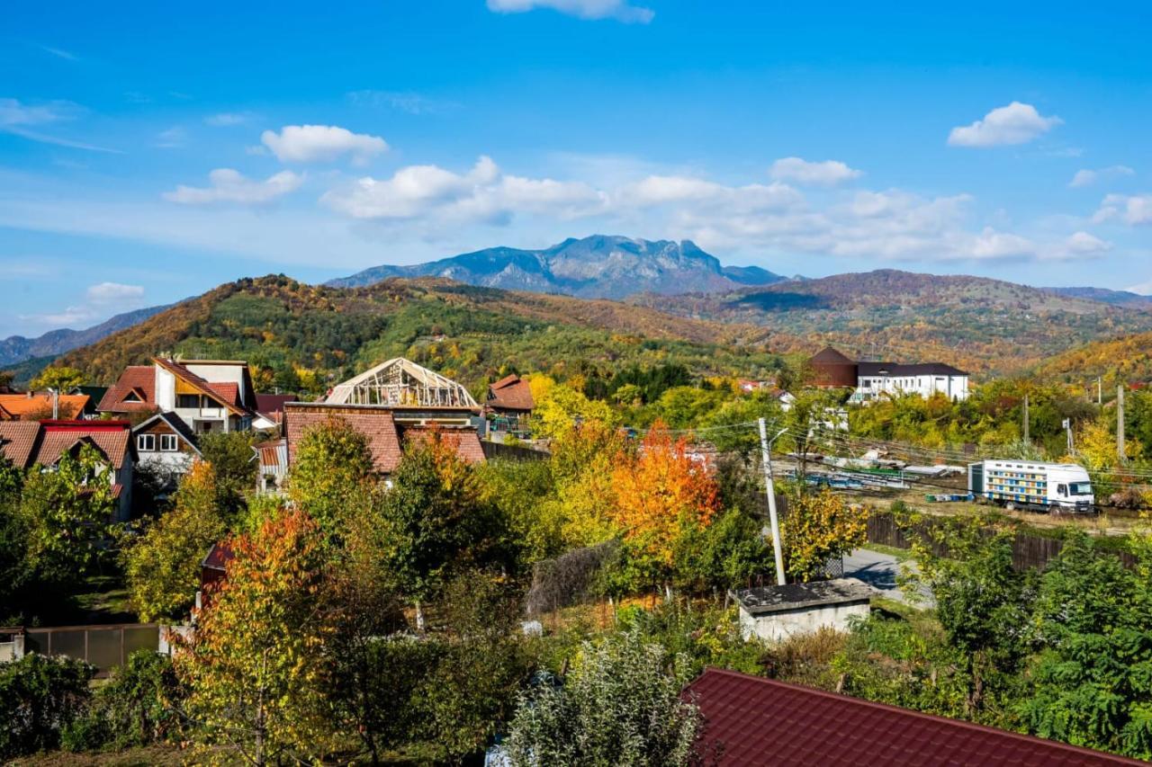 Vila Phoenix Călimăneşti Εξωτερικό φωτογραφία