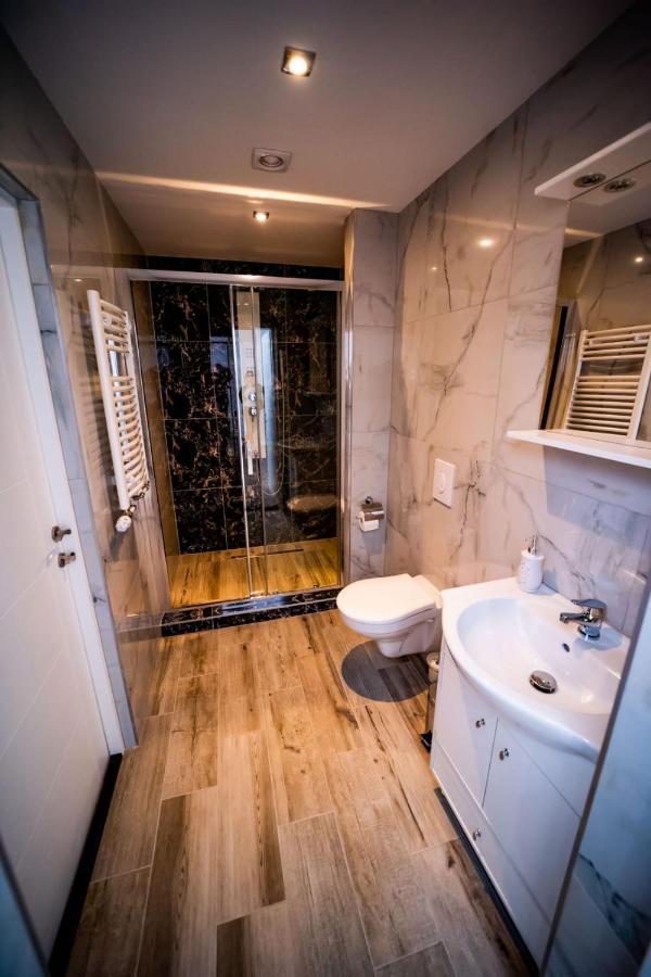 Vila Phoenix Călimăneşti Εξωτερικό φωτογραφία