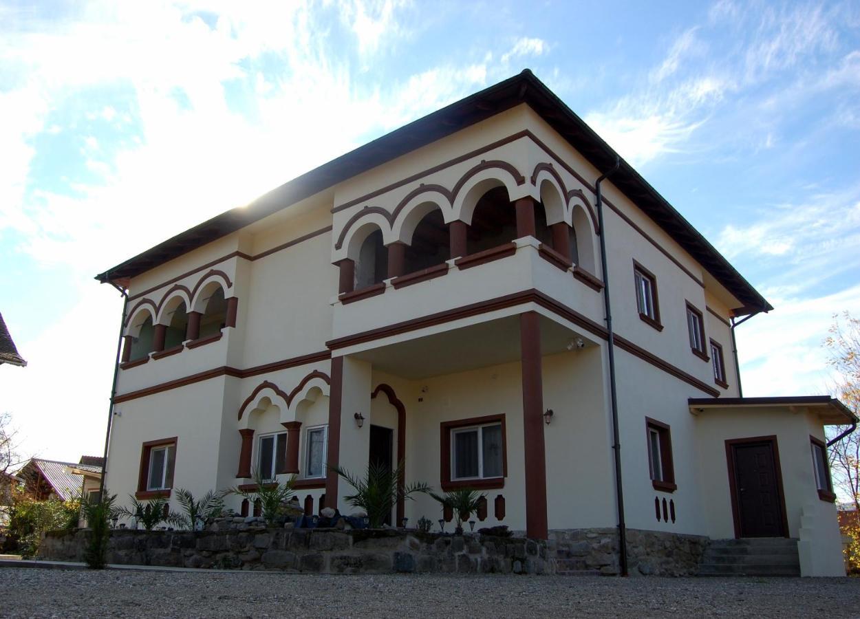 Vila Phoenix Călimăneşti Εξωτερικό φωτογραφία