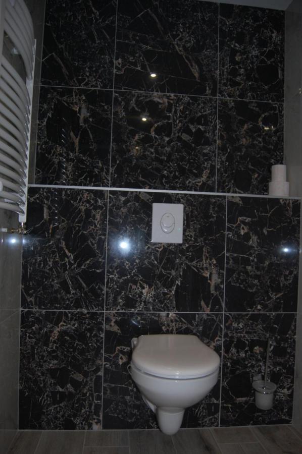 Vila Phoenix Călimăneşti Εξωτερικό φωτογραφία