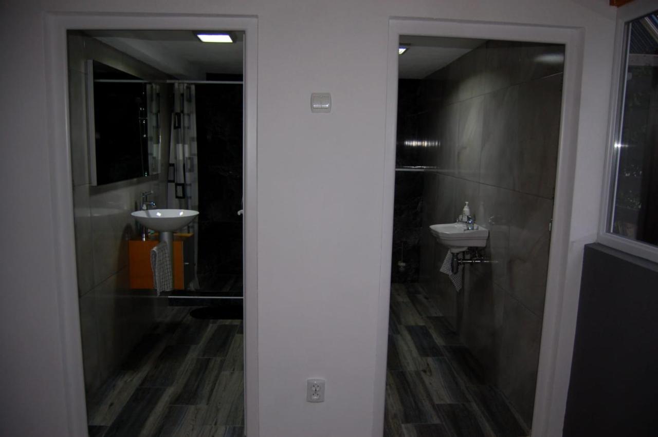 Vila Phoenix Călimăneşti Εξωτερικό φωτογραφία