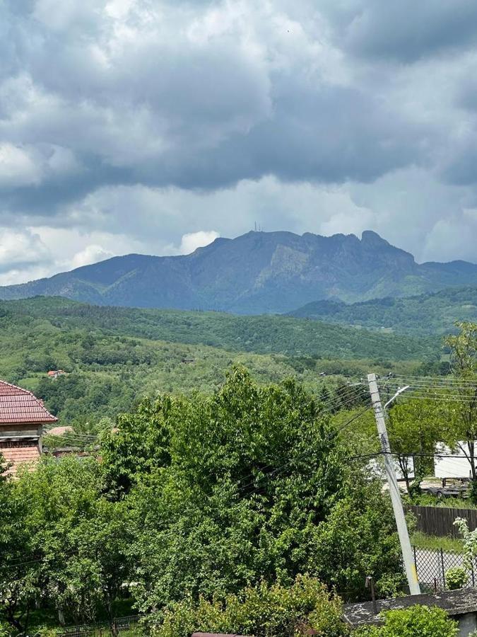 Vila Phoenix Călimăneşti Εξωτερικό φωτογραφία